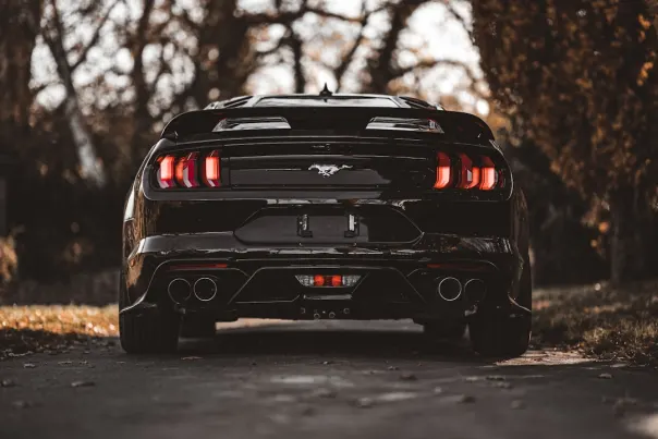 Казино Пош Бинго Android/iOS приложение